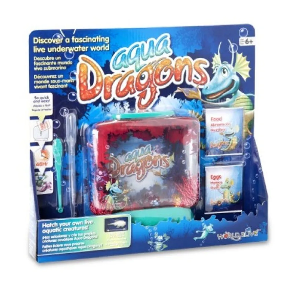 Aqua Dragons Underwater World