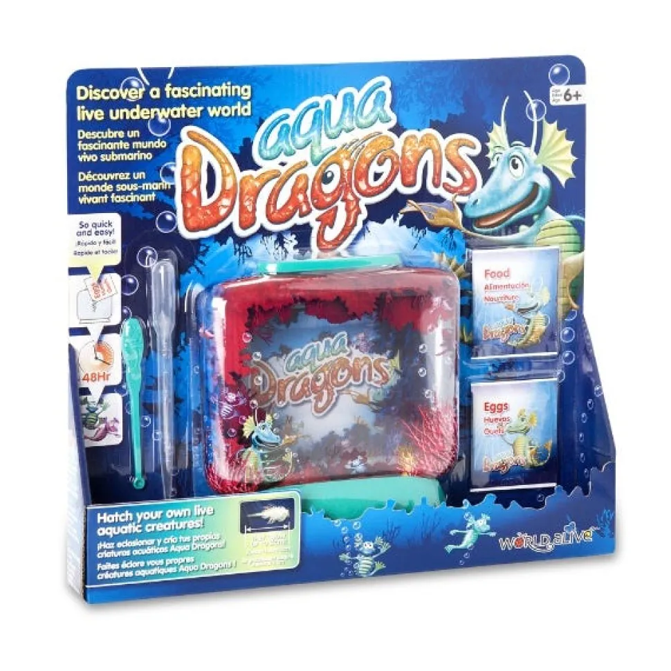 Aqua Dragons Underwater World