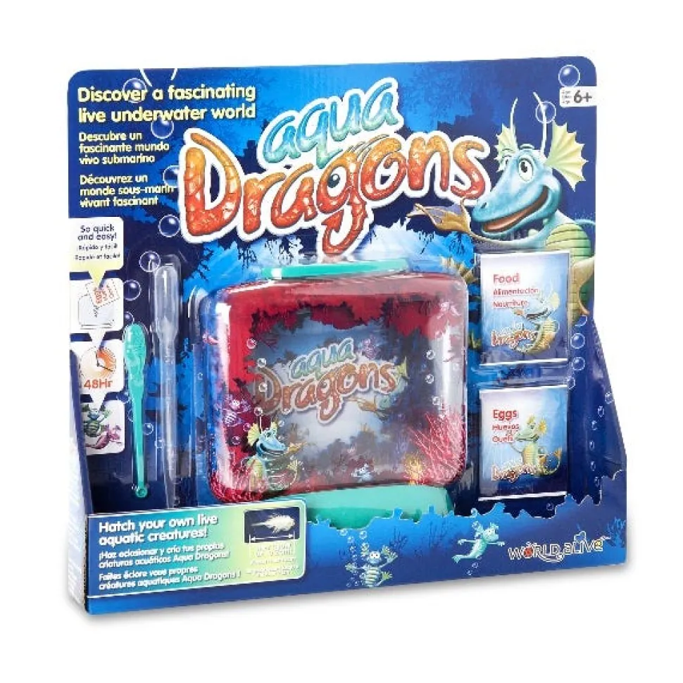 Aqua Dragons Underwater World