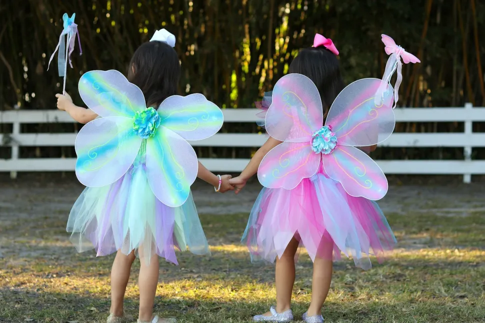 Butterfly Dress With Wings And Wand Green (5-6 years)