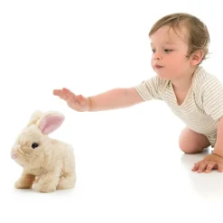 Cookie Jumping Rabbit