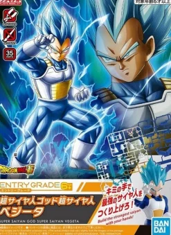Entry Grade Super Saiyan God Super Saiyan Vegeta (3L)