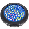 Fishing Game Tire Small