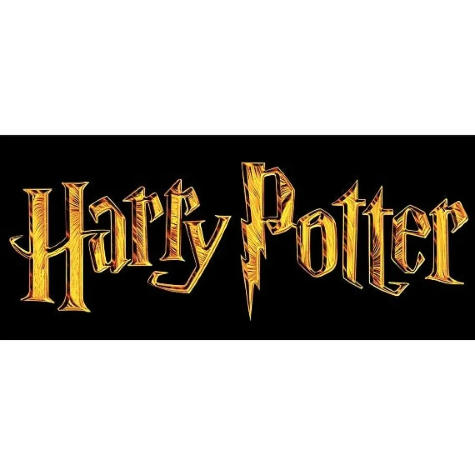 Harry Potter Deluxe School Robe Medium