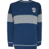 Harry Potter Ravenclaw Quidditch Sweater Medium