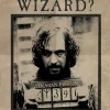 Harry Potter Wanted Sirius Black Maxi Poster