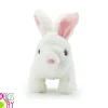 Hopper Jumping Rabbit