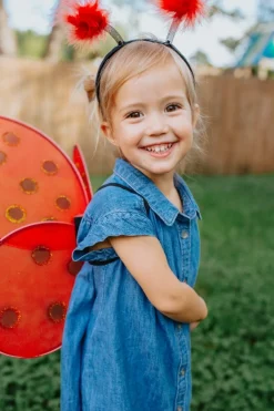 Ladybird Wings & Headband