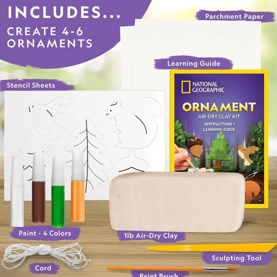 National Geographic Ornamnet Air Dry Clay Kit