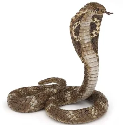 Papo King Cobra