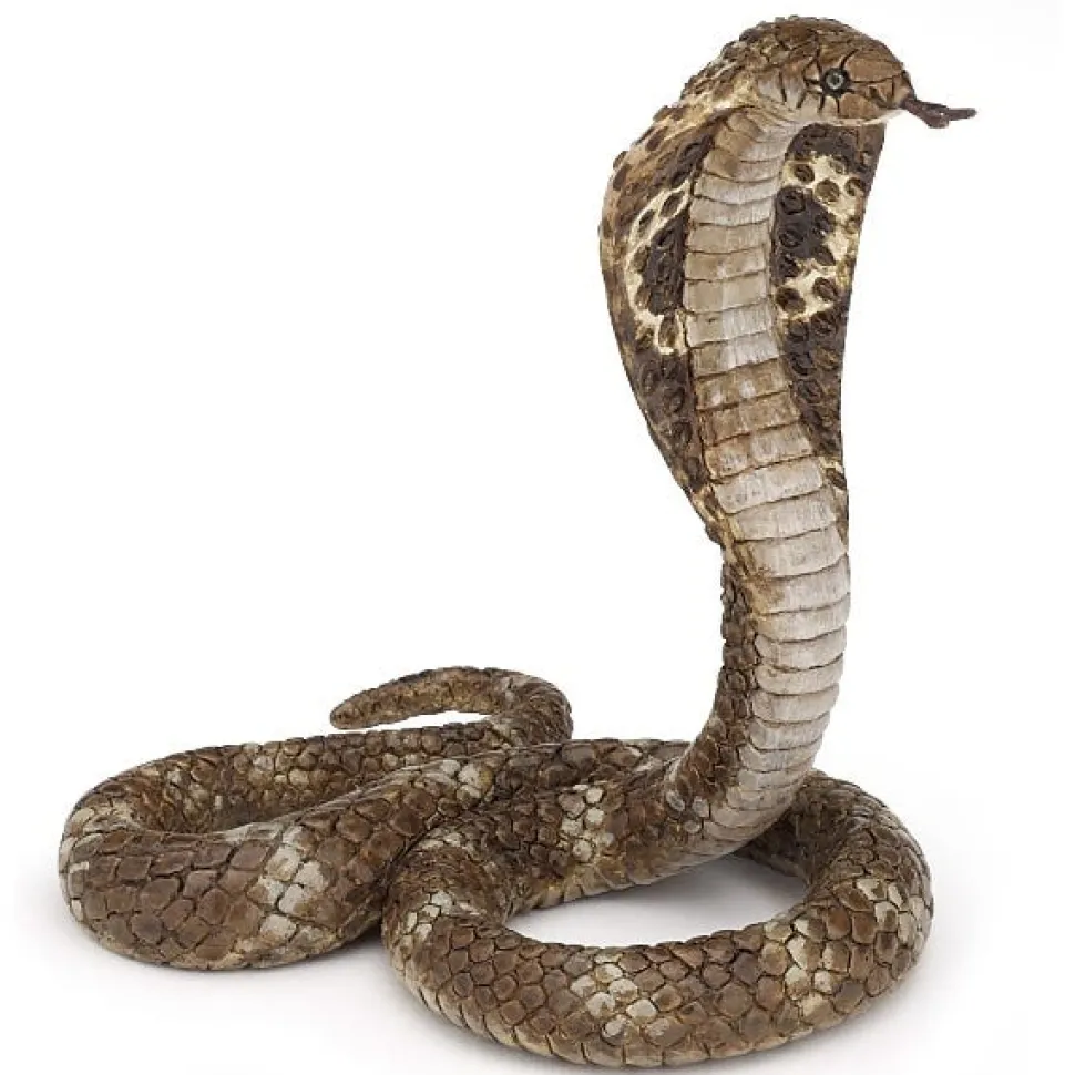 Papo King Cobra