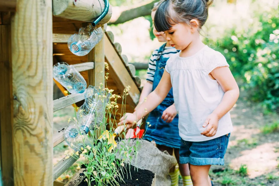 Plum Discovery Woodland Treehouse