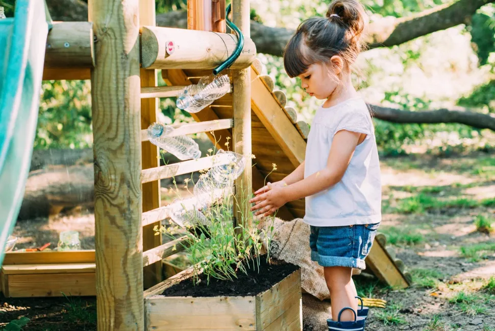 Plum Discovery Woodland Treehouse
