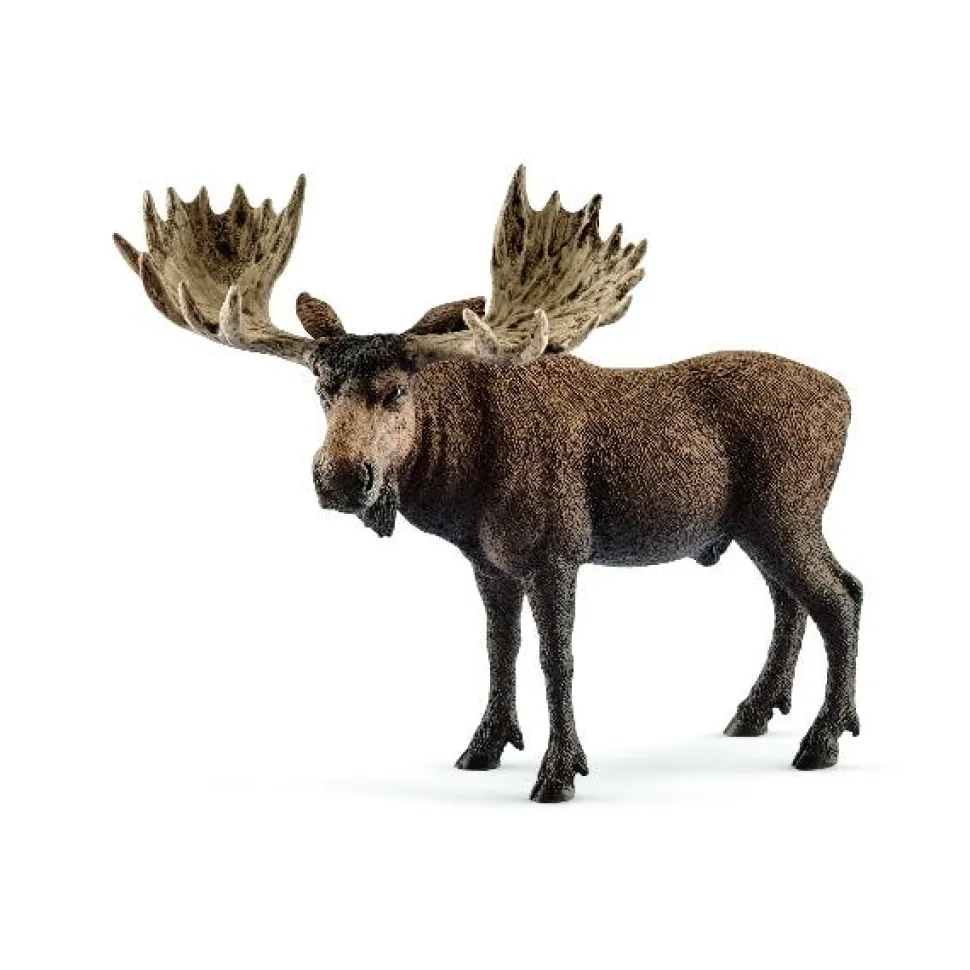 Schleich Moose Bull