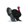 Schleich Turkey