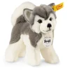 Steiff Grey & White Bernie Husky Soft Toy