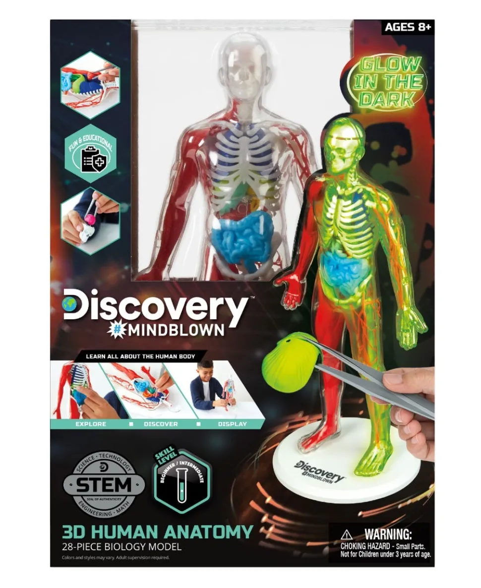 Toy Anatomy Human Kit Glow In the Dark 28Pc