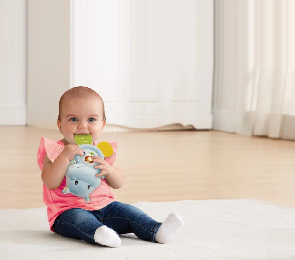 VTech Little Friendlies Happy Hippo Teether